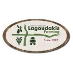 Lagoudakis