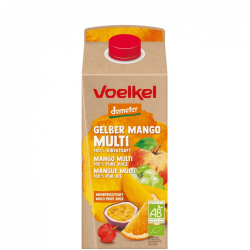 Ανάμεικτος χυμός μάνγκο & φρούτων ΒΙΟ 0,75l