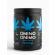 Πρωτεΐνη Κάνναβης Amino Animo 500gr Πρωτεΐνη Κάνναβης Amino Animo 500gr