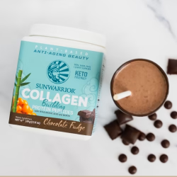 Φυτική Πρωτεϊνη με Πεπτίδια για παραγωγή κολλαγόνου (choco) 500g Χ/ΓΛ